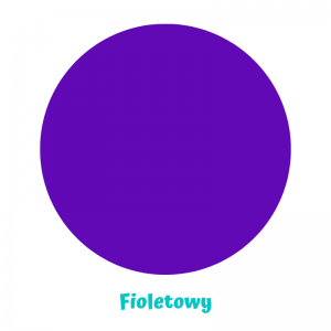 AIO HEAVY OS Little Birds różne wzory LBD - fioletowy