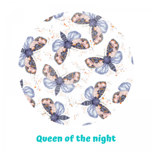 AIO HEAVY OS Little Birds różne wzory LBD - Queen of the night
