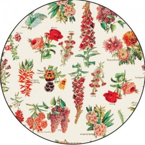 Kieszonka z coolmaxem MOS Kokosi - wybierz wzór - Zielnik