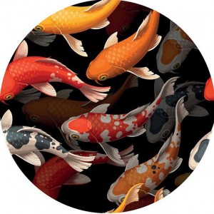 Otulacz PUL OS Kokosi - wybierz wzór - Wielopracz